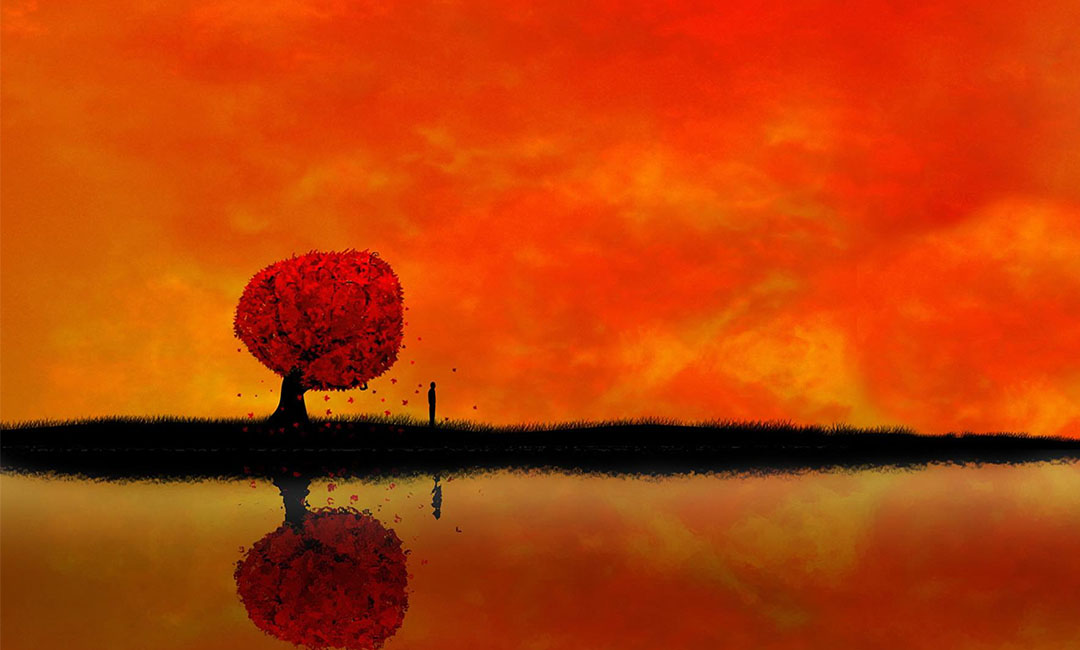 江西笙影微信朋友圈转发案例